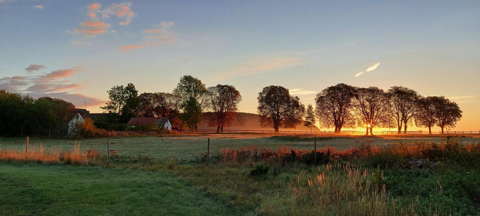 Lantligt Och Lugnt Boende Naera Natur Och Stad Svedala Ngoại thất bức ảnh