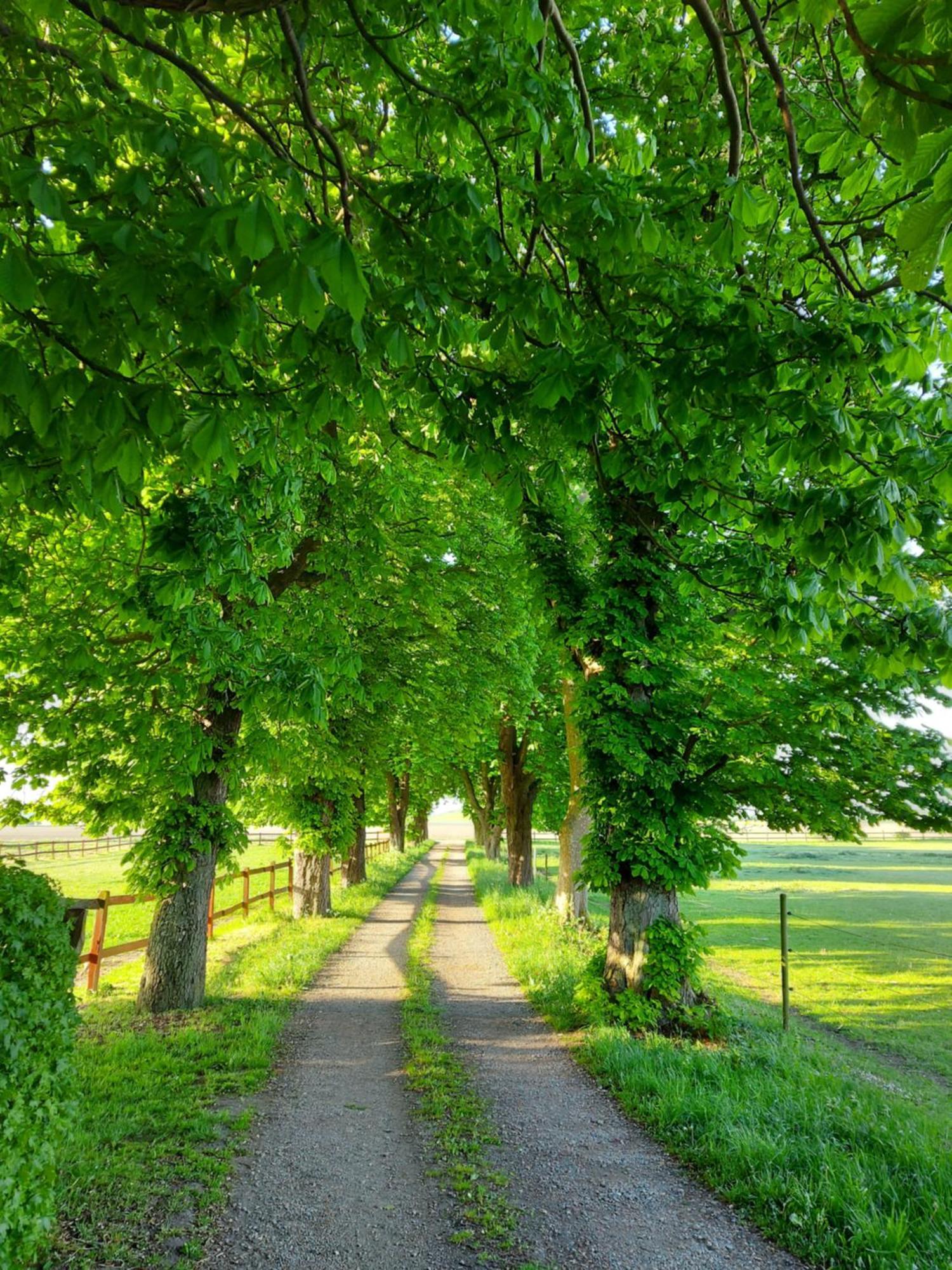Lantligt Och Lugnt Boende Naera Natur Och Stad Svedala Ngoại thất bức ảnh