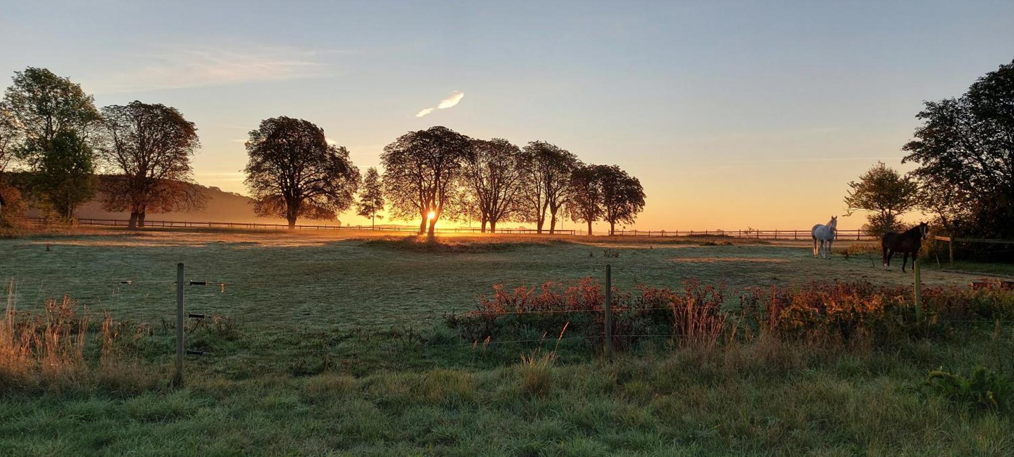 Lantligt Och Lugnt Boende Naera Natur Och Stad Svedala Ngoại thất bức ảnh