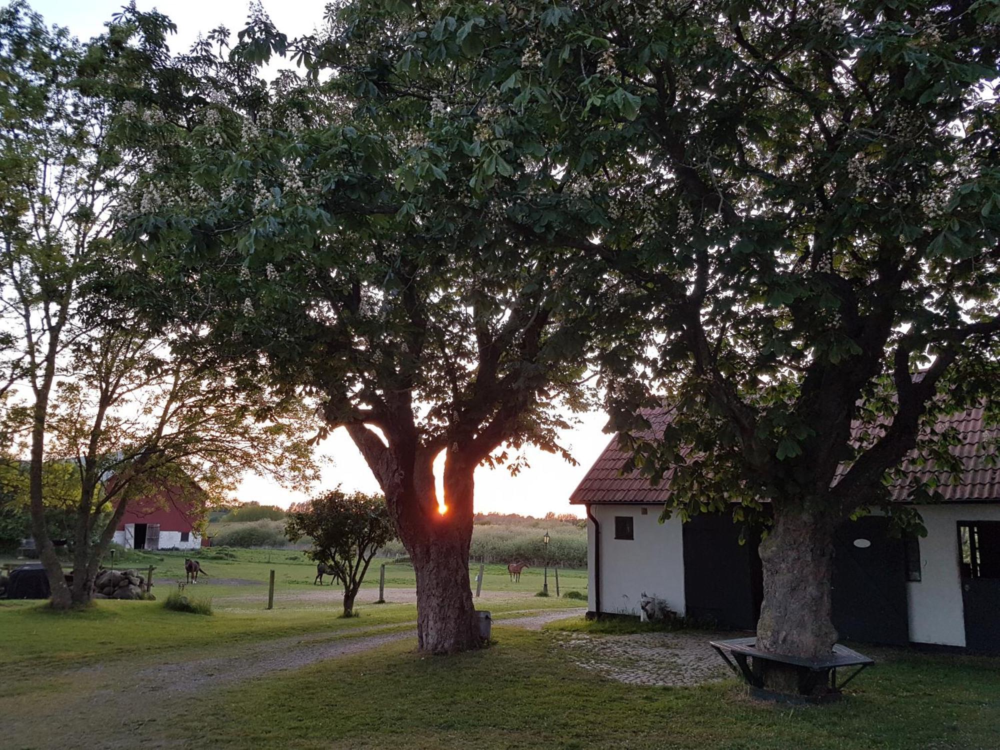 Lantligt Och Lugnt Boende Naera Natur Och Stad Svedala Ngoại thất bức ảnh