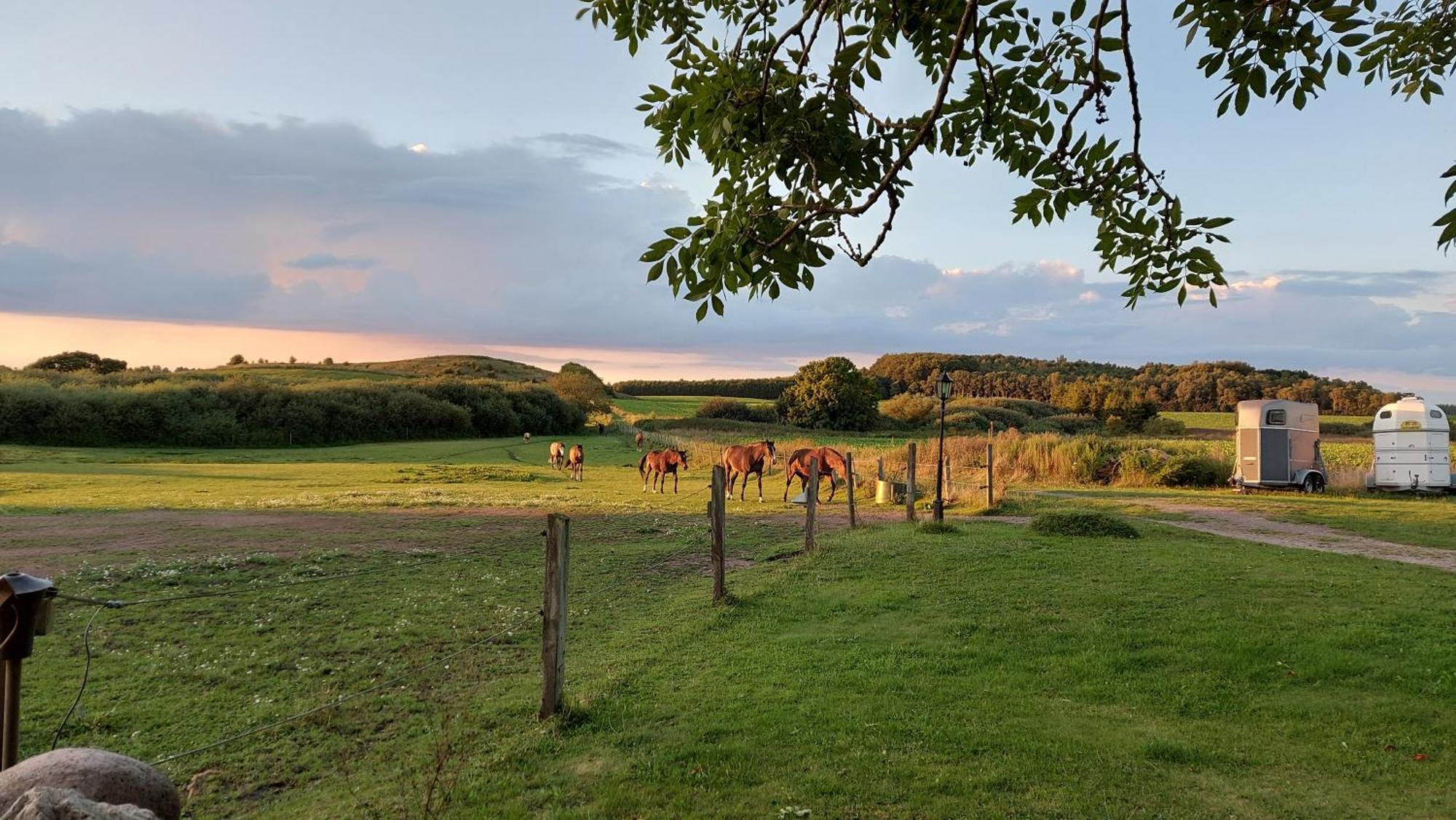 Lantligt Och Lugnt Boende Naera Natur Och Stad Svedala Ngoại thất bức ảnh