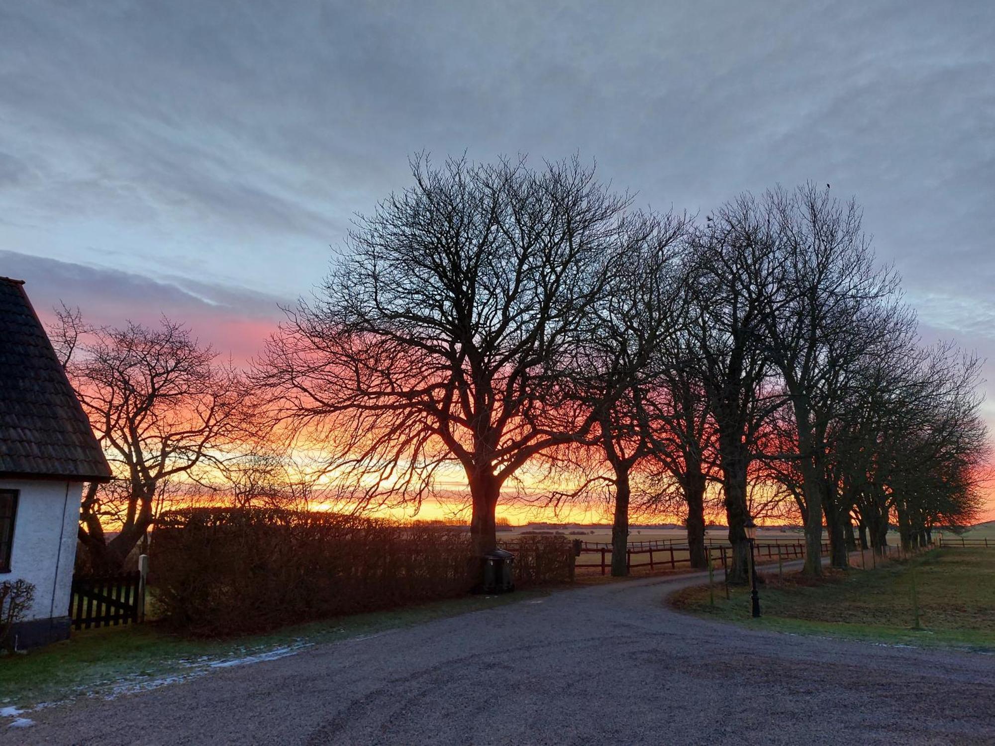 Lantligt Och Lugnt Boende Naera Natur Och Stad Svedala Ngoại thất bức ảnh
